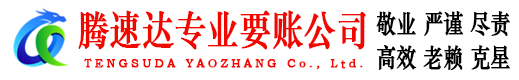 汉南腾速达追账公司